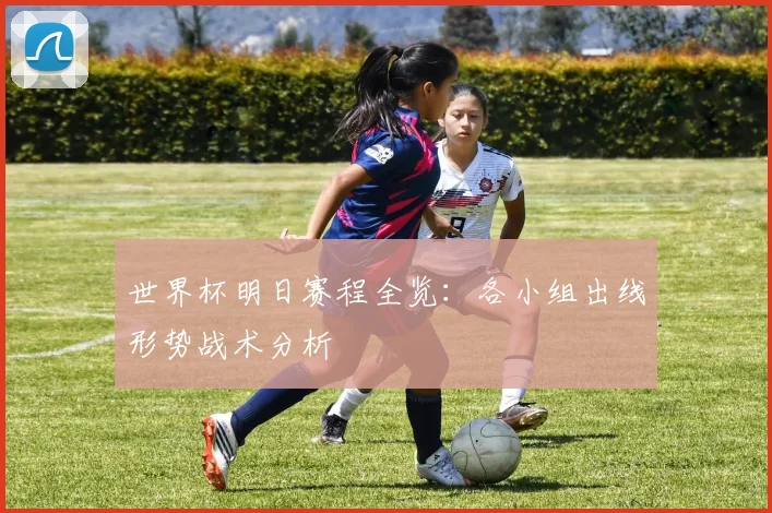 世界杯明日赛程全览：各小组出线形势战术分析